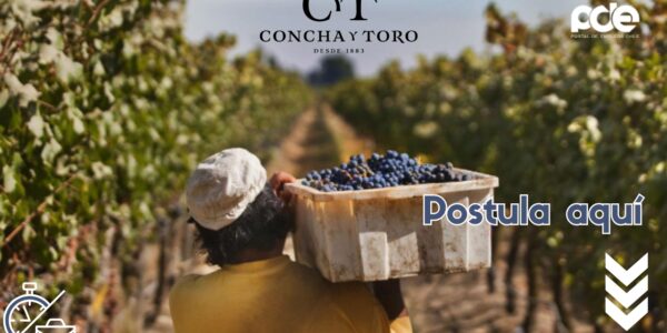 Trabajos en Concha y Toro: Tu Oportunidad en la Viña Más Grande de Chile