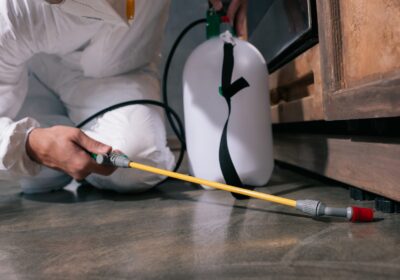 cropped-image-of-pest-control-worker-spraying-pest-YLQLPRD-1-scaled-1