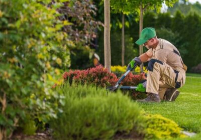 funciones-de-un-jardinero