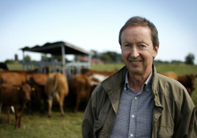 img-Articulo-European-Livestock-voice