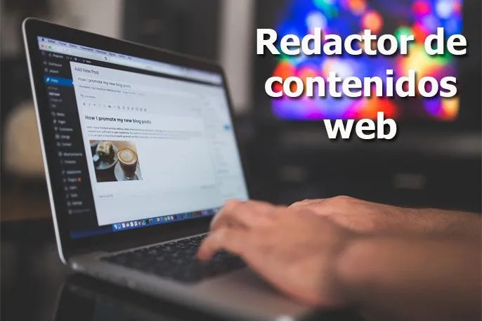 Buscamos redactores para web